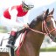 【中日新聞杯　2016】ショウナンバッハの豪脚に期待！データ分析！