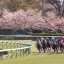 【フィリーズレビュー 2016】印付き5点予想！！【馬連/3連複】