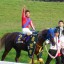 【阪神大賞典 2016】菊花賞馬トーホウジャッカルがここから始動！データ分析！！