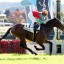 【スプリングステークス 2016】マイネルハニーがスローで逃げる!上り勝負なら負けない! 【スプリングステークス 2016】マイネルハニーがスローで逃げる!上り勝負なら負けない!