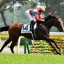 【ファルコンステークス 2016】短距離路線を進む有力3歳馬達の荒れる戦いに注目！データ分析！！