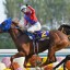 【阪神大賞典　2016】トーホウジャッカルが長距離で返り咲く！血統データ予想！