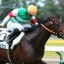 【毎日杯 2016】クラシックへ僅かな望みをかけてレプランシュなどが激突！データ分析！！