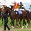 【ダービー卿チャレンジトロフィー 2016】混戦模様だが、昨年覇者モーリスに似ているあの馬に注目！データ分析！！