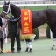 【阪神牝馬ステークス 2016】昨年の牝馬クラシック2冠馬ミッキークイーンがここから始動!データ分析!! 【阪神牝馬ステークス 2016】昨年の牝馬クラシック2冠馬ミッキークイーンがここから始動!データ分析!!