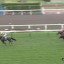 【函館2歳Ｓ 2015】ブランボヌール強し！！手ごたえ抜群3馬身半差快勝！！