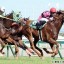 【中京記念 2015】スマートオリオンが名手デムーロを背にマイルでも重賞V