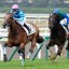 【新馬戦】2億円ホース「ヴァンキッシュラン」まさかの２着!!馬主の島川隆哉氏も絶句！！