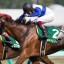 【クイーンステークス 2015】 有力馬の事前予想と函館2歳Ｓレース回顧