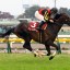 【天皇賞春 2016】フェイムゲーム今回は良い条件で望めるか！？穴馬を事前予想！！