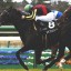 【天皇賞春 2016】父オペラハウスの力を借りてファントムライトが激走するか！超大穴！