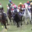 【天皇賞春 2016】枠順確定後の狙い馬を予想！有力馬が極端な枠に・・・