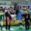 【新潟大賞典 2016】フルーキー・サトノラーゼンなどの実力馬がGⅠや夏に向けて始動！データ分析！！