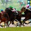 【オークス(優駿牝馬) 2016】シンハライト1強も馬券の組み立てが難解！データ分析！！