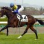 【日本ダービー(東京優駿)2016】予想｜ディープインパクトは印象に残るダービー馬だったのか？