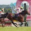 【優駿牝馬(オークス) 2016】オークスは距離適性が鍵！東京2400mが向く馬をデータ分析！