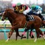 【オークス(優駿牝馬) 2016】勢いそのままにチェッキーノがタイトルに挑む！オススメ馬紹介！！