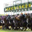 【オークス(優駿牝馬) 2016】枠順確定後の軸馬候補を考える！