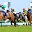 【日本ダービー(東京優駿) 2016】ディーマジェスティが2冠へ！軸候補を紹介！！