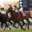 【日本ダービー(東京優駿) 2016】マカヒキなどの人気上位馬の危険度を考察！国歌独唱は桐谷健太さん！