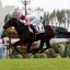 【鳴尾記念 2016】アズマシャトル夏に向けて始動！穴馬を事前予想！！