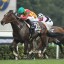 【安田記念 2016】モーリスとリアルスティール危険なのはどっち！？
