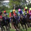 【安田記念 2016】印付き6点予想！！【馬単/3連複】