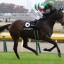 【エプソムカップ 2016】ルージュバック秋に向けて重要な1戦へ！データ分析！！