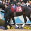 【エプソムカップ 2016】エキストラエンド舐められ過ぎな気も・・・穴馬を事前予想！！