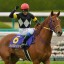 【函館スプリントステークス 2016】桜花賞馬レッツゴードンキが夏競馬に参戦！データ分析！！