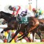 荒れる函館スプリントステークス！穴馬の条件は非常にシンプル！【データ分析】