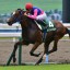 【小倉記念 2015】難解なハンデ戦と予想！メイショウナルトに注目！！
