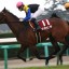 【マカヒキが凱旋門賞に挑戦とは言うけれど･･】3歳馬の菊花賞軽視が悲しい(ﾉω･､) ｳｩ･･･