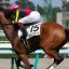 【宝塚記念 2016】タッチングスピーチが万馬券の立役者へ！穴馬を事前予想！！