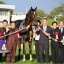 【宝塚記念 2016】キタサンブラックは2枠3番と黒枠のサインか！？枠順確定後の狙い馬予想！！