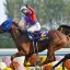 【宝塚記念 2016】前日オッズから大穴馬を予想!ファン投票と人気オッズの矛盾・・・ 【宝塚記念 2016】前日オッズから大穴馬を予想!ファン投票と人気オッズの矛盾・・・