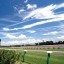 【データ】函館攻略！洋芝巧者を買っても実は儲からない！？【2016夏】