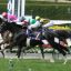 【競馬談議】複勝馬券のメリット＆デメリット！【No.13】
