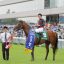 【サマー2000シリーズ 2016】首位はアルバートドック・マイネルミラノの2頭！【次戦：小倉記念】