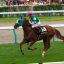【札幌記念 2016】ヤマカツエース久しぶりの重賞制覇へ！オススメ馬を事前予想！！