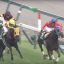 【北九州記念 2015】ラヴァーズポイントCBC賞の勢いそのままに！オススメ馬を事前予想！！
