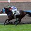 【北九州記念 2016】フルールシチーが義騎手を背に重賞初挑戦!?穴馬を事前予想!! 【北九州記念 2016】フルールシチーが義騎手を背に重賞初挑戦!?穴馬を事前予想!!