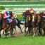 【札幌記念 2016】印付き5点予想！！【ワイド/3連複】