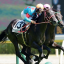 【新馬戦】母オークス馬「プリンシパルスター」がデビュー戦勝利！！