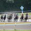 【シリウスステークス 2016】印付き5点予想！！【馬連/3連複】