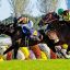 菊花賞(Ｇ１)｜重賞データ/単勝オッズ・枠順・ローテーション傾向分析【京都芝3000m】