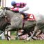 【府中牝馬ステークス 2016】スマートレイアー今度こそ勝てるか!?オススメ馬を事前予想!! 【府中牝馬ステークス 2016】スマートレイアー今度こそ勝てるか!?オススメ馬を事前予想!!