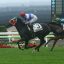 【秋華賞 2016】クロコスミアが混戦に風穴を開ける！穴馬を事前予想！！