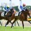 【富士ステークス 2016】ロードクエストが古馬の壁に挑む！オススメ馬を事前予想！！