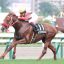 【菊花賞 2016】サイン予想はカフジプリンス！！